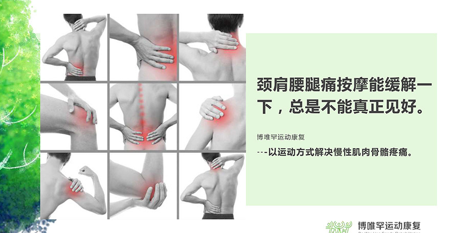 慢性肌肉骨骼疼痛类别